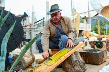 Valsequillo celebra la romería ofrenda a San Miguel/Antonio Alí y TA.